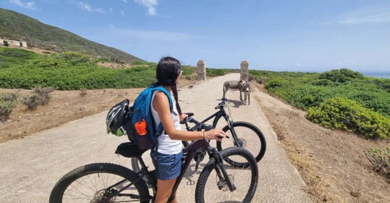 From Porto Torres: E-Bike Rental - Exploring the Wild Beauty of Asinara Island