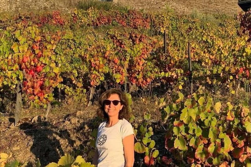 From Porto: Valle del Duero Full-Day Private Tour - Experience the Scenic Wonders of the Douro Valley on a Private Day Trip from Porto