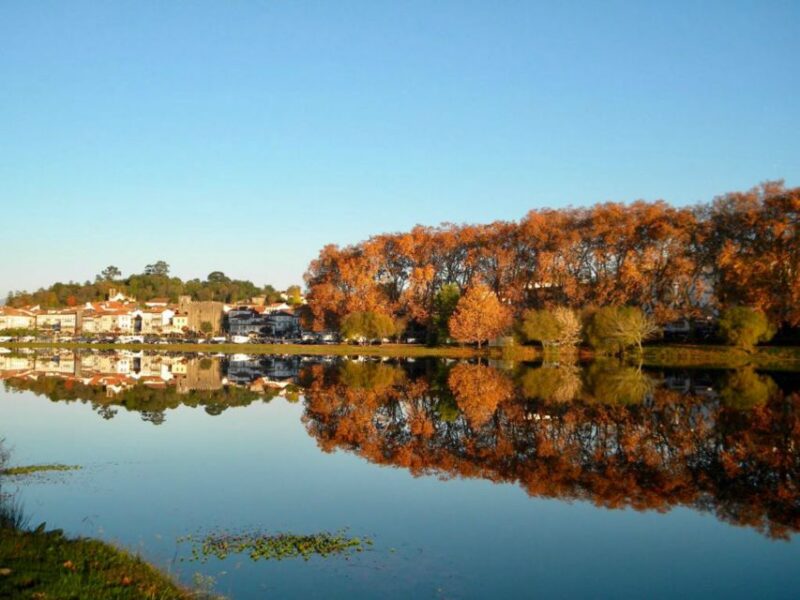 From Porto: Viana Castelo and Ponte Lima Private Tour - Who Will Appreciate This Tour Most