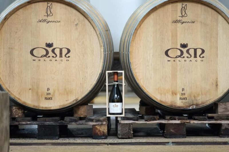 From Porto: Vinho Verde Private Wine & Gastronomy Tour - Scenic Drive with Panoramic Views of the River and Countryside