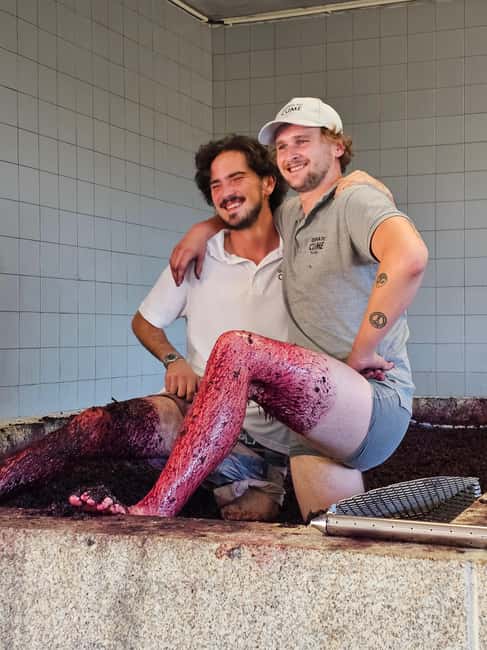 From Porto: Wine and Culture Journey to Lisbon - The Experience Provider: Sommelier Tours Douro