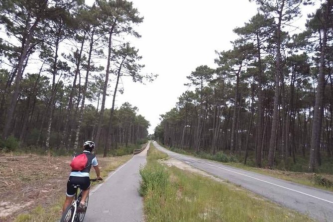 From Porto with view to Gaia: Private Bike Tour #DuckSideOfPorto - Scenic Photo Stops: Douro River from the Top of a Ferry