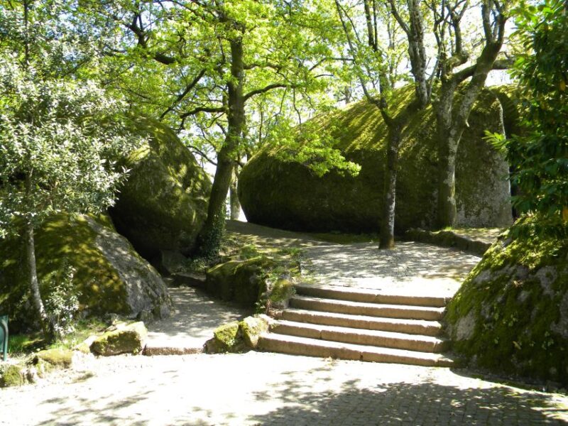 From Porto: Wonders of Braga & Guimaraes Private Day Trip - Enjoying a Delicious Local Lunch in Braga
