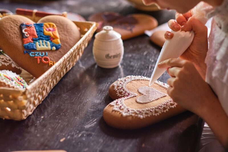 From Poznan: Torun Sightseeing Day Tour - Navigating Torun’s Key Landmarks with a Local Guide