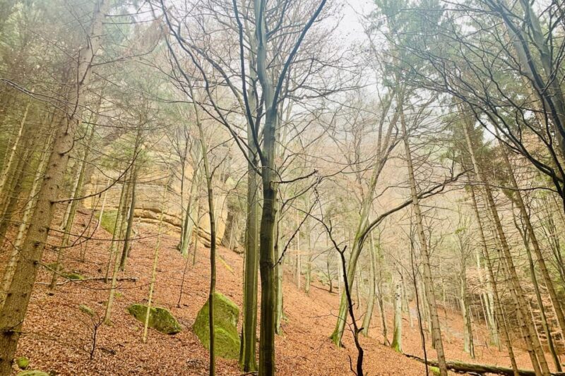 From Prague: Bohemian and Saxon Switzerland Full-Day Tour - The Choice Between Hiking and Narnia Tours