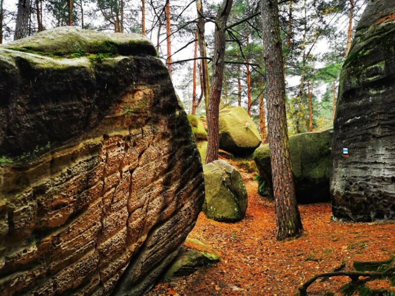 From Prague: Bohemian Paradise - Full-Day Hiking Trip - Exploring Bohemian Paradise’s Scenic Rock Formations and Viewpoints
