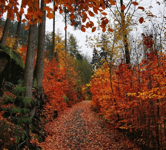 From Prague: Bohemian Paradise - Full-Day Hiking Trip - Comparing This Tour to Similar Bohemian Paradise Adventures