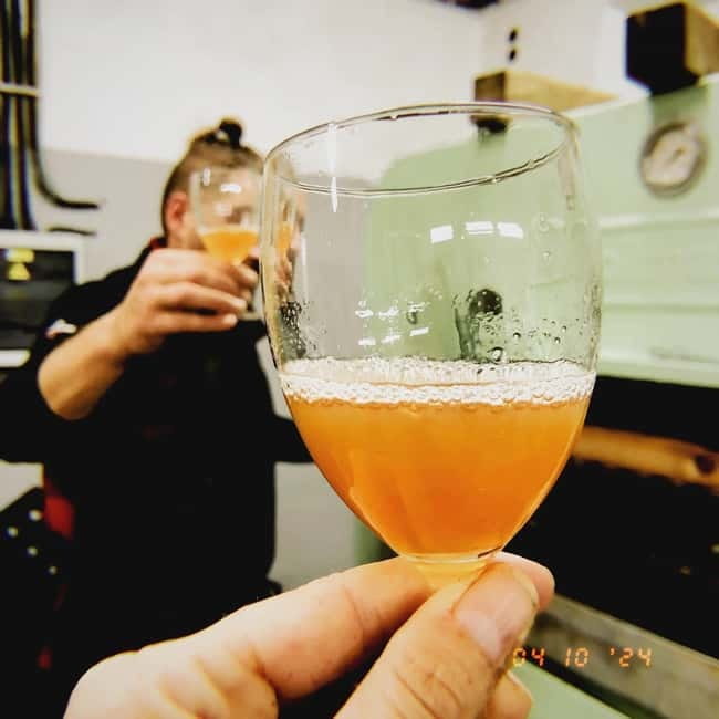 From Prague: Gastronomy Trip  Wine, Beer, Food & Castles - Beer Tasting at a Modern Microbrewery