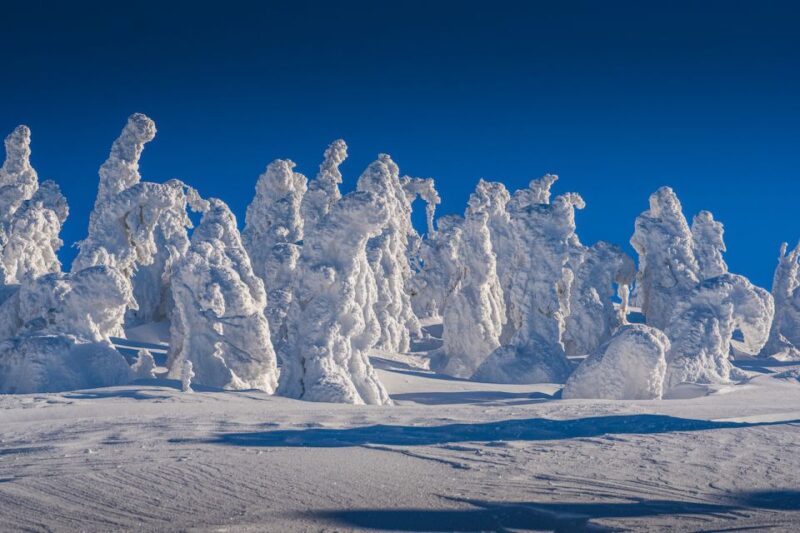 From Prague: Guided Snowshoe Tour with Mountain Views - From Prague: Guided Snowshoe Tour with Mountain Views