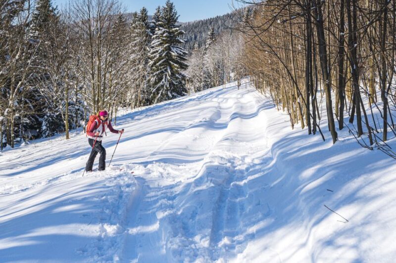 From Prague: Guided Snowshoe Tour with Mountain Views - Exploring the Mountain Trail and Views