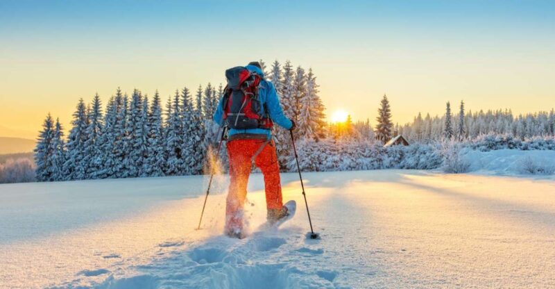 From Prague: Guided Snowshoe Tour with Mountain Views - Logistics and What’s Included