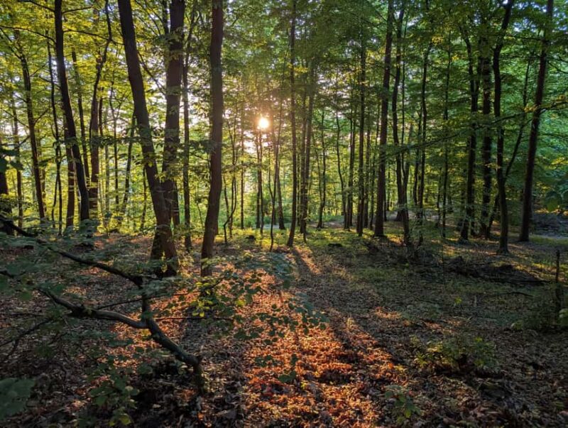 From Prague: Horseshoe Bend & Castle Gardens Private Tour - Lunch and Craft Beer at a Local Czech Brewery