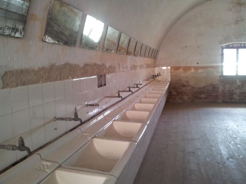 From Prague: Terezin Concentration Camp Private Tour - Stories of Survival and Human Resilience