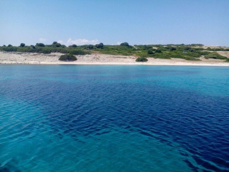 From Pretra or Molyvos: Lesvos Cruise with BBQ - Value and Potential Limitations