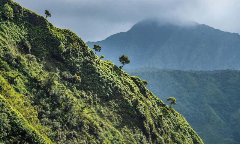 From Princeville: Discover Kauai Helicopter Tour - What You See on the Flight: Manawaiopuna Falls to Hanalei Bay