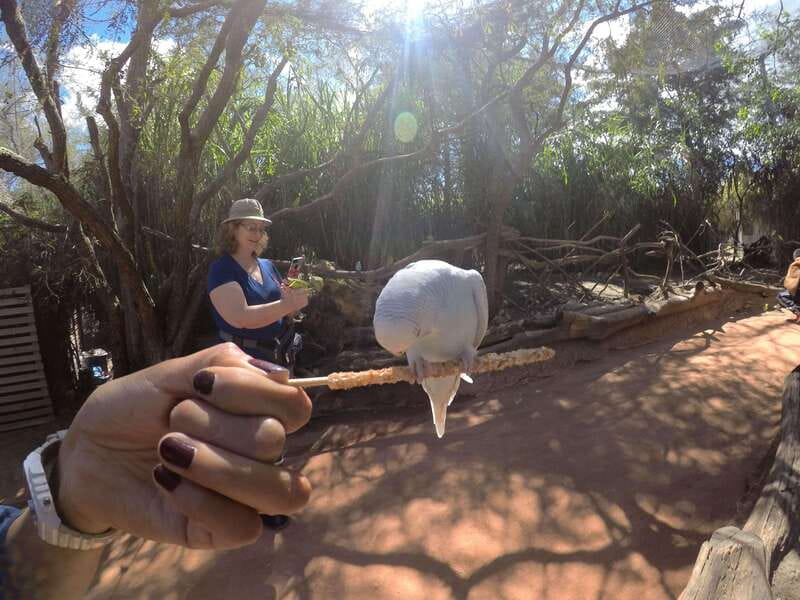 From Puebla: Africam Safari Private Tour all included - Frequently Asked Questions