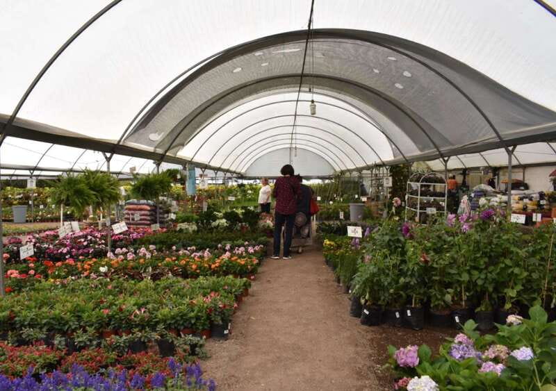 From Puebla: Atlixco & Atlimeyaya Private Tour all included - Scenic Views and Natural Landscapes of Atlimeyaya