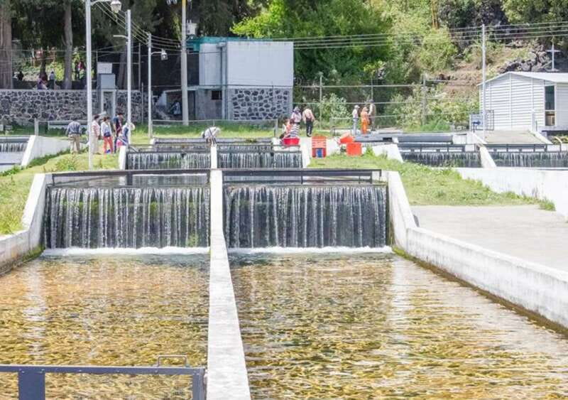 From Puebla: Cholula and Atlixco Private Tour all included - The Great Pyramid of Cholula: The Largest in the World