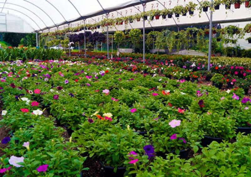 From Puebla: Cholula and Atlixco Private Tour all included - Tasting Authentic Local Flavors