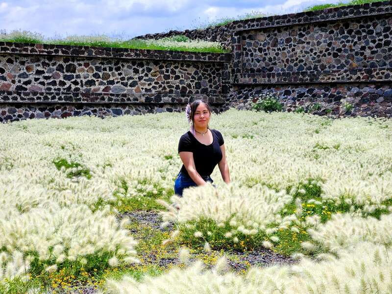 From Puebla: TEOTIHUACAN PRIVATE TOUR - Explore the Ancient Pyramids of Teotihuacan with a Private Guide