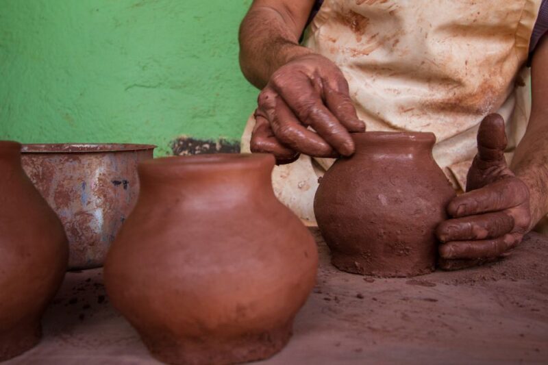 From Puerto de La Cruz: Full-Day Vip Tour to Gomera - Key Points