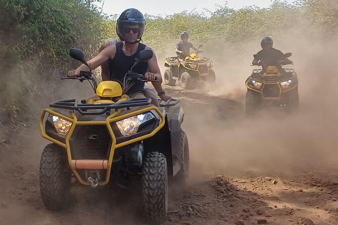 From Puerto de la Cruz: Quad ride with snack and photos. - Who Will Love This Tour?