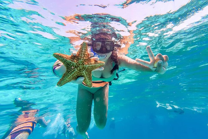 From Puerto Morelos: Luxury Catamaran Excursion to Isla Mujeres - Buffet Lunch and Ice Bar Experience