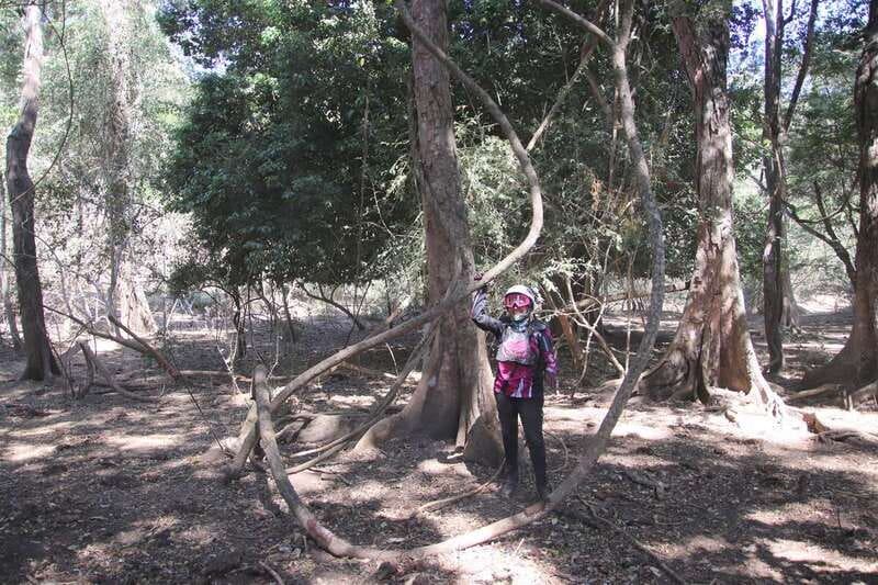 From Puerto Vallarta: 2-Hour Guided Sierra Vallejo Hike - Discover the Unique Landscape of Sierra Vallejo