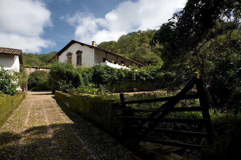 From Puerto Vallarta: Full-Day Tour to San Sebastian - Why This Tour Offers Real Value