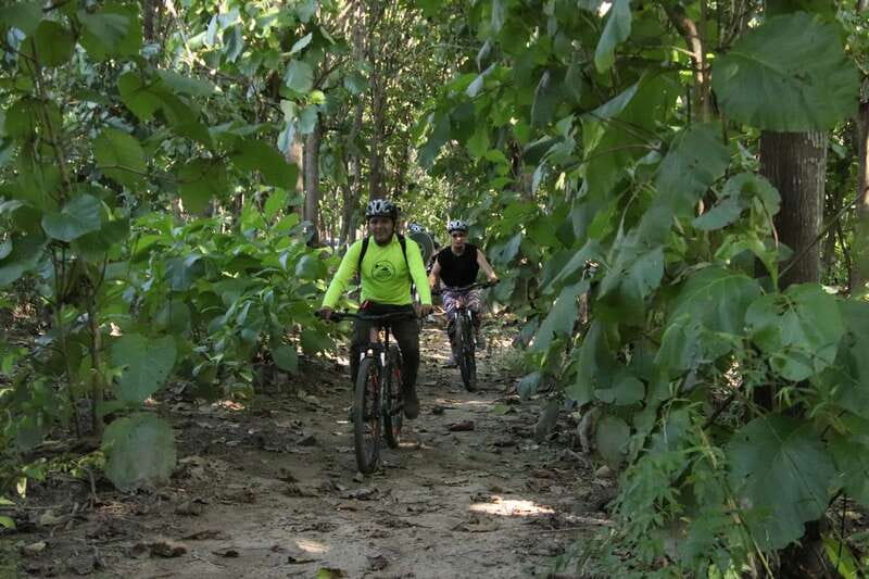 From Puerto Vallarta: Jungle Mountain Bike Tour - Key Points