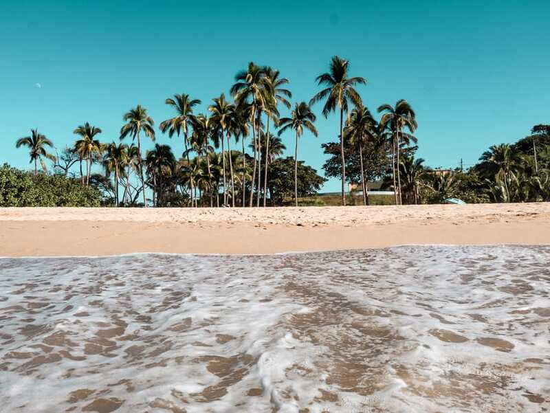 From Puerto Vallarta: San Pancho and Sayulita - Sayulita: Surf, Shop, and Soak Up the Sun