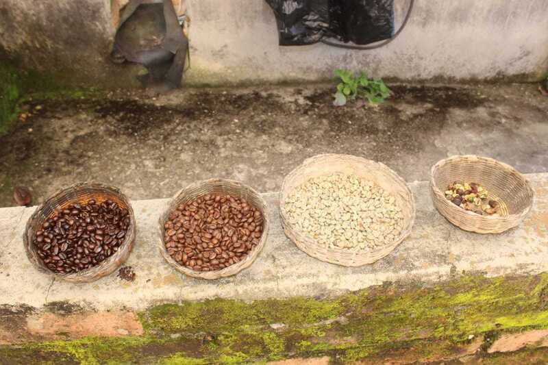 From Puerto Vallarta: San Sebastian del Oeste with Lunch - Explore the Charm of San Sebastian del Oeste for $79