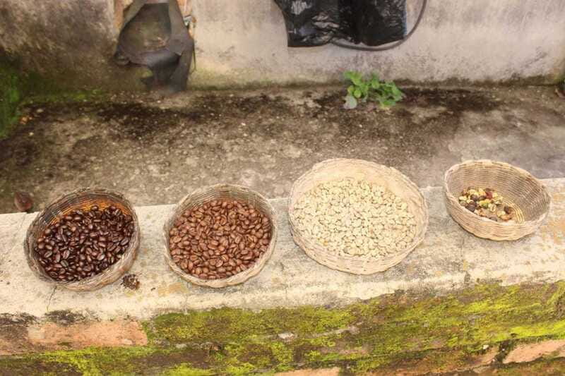 From Puerto Vallarta: San Sebastian del Oeste with Lunch - Tasting Regional Flavors and Enjoying the Main Square