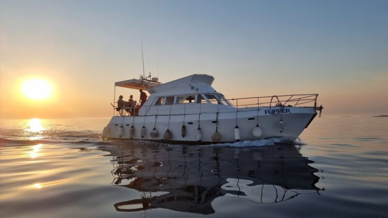 From Pula: Private Boat Tour and Brijuni National Park - Practical Details: What to Prepare and What’s Included