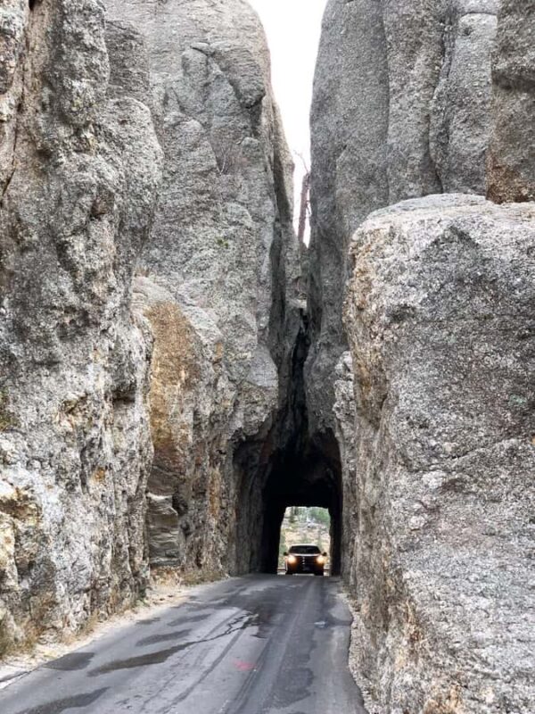 From Rapid City: Custer State Park and Needles Highway Tour - Who Should Consider This Tour?