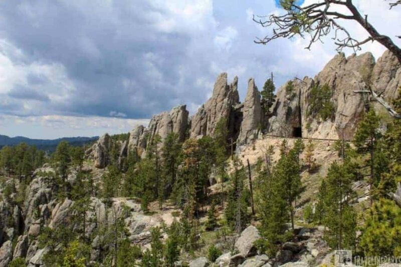 From Rapid City: Custer State Park and Needles Highway Tour - Logistics: What to Expect and What to Bring