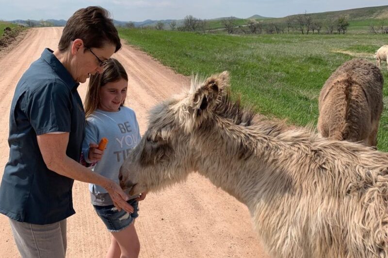 From Rapid City: Custer State Park Private Safari and Hiking - Feeding Burros in Custer State Park
