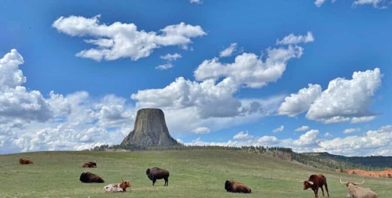 From Rapid City: Devils Tower National Monument Day Trip - Key Points