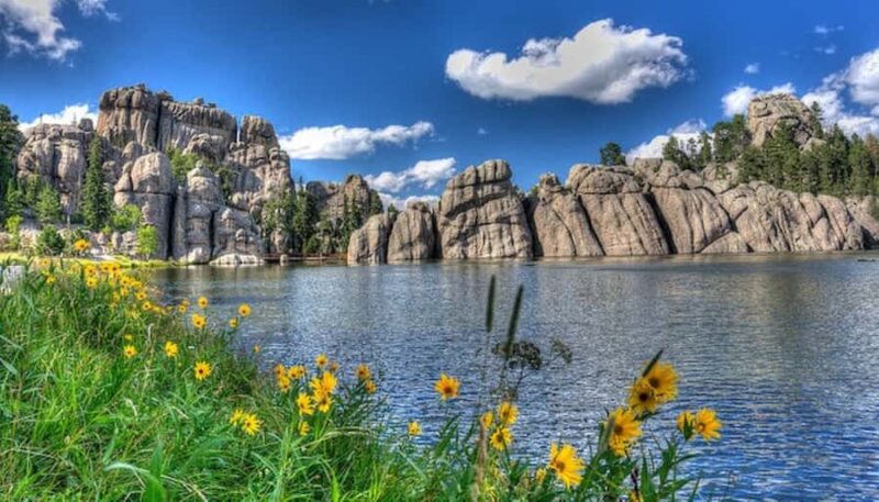From Rapid City: Mt Rushmore-Crazy Horse-CSP Wildlife Loop - The Ideal Participant for This Tour