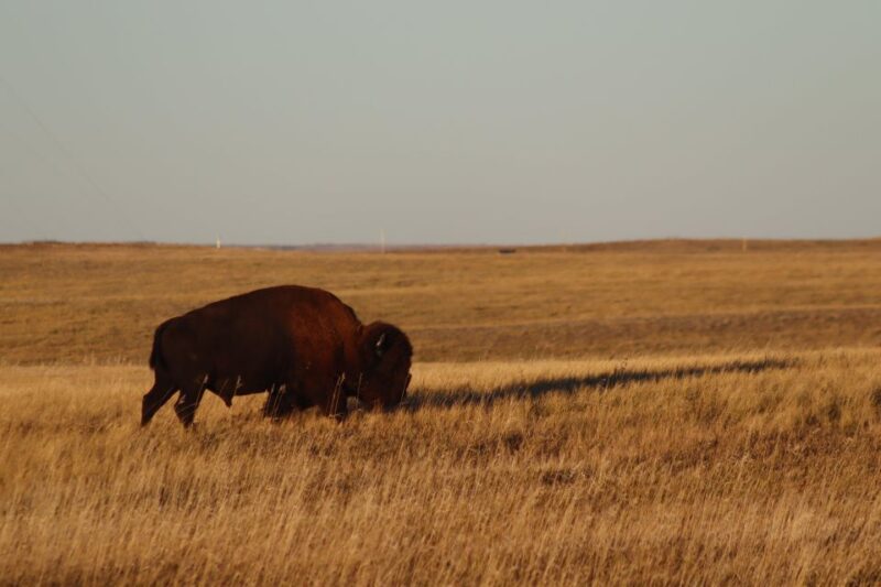 From Rapid City: Sunset, Stars and Silhouettes - Practical Details: What’s Included and What to Bring