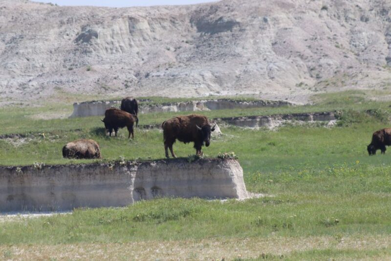 From Rapid City: Sunset, Stars and Silhouettes - What Sets This Tour Apart From Others