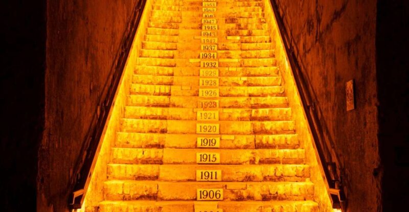 From Reims: Day Trip to Veuve Clicquot Family Grower & Lunch - Explore Reims and the Champagne Region on a Full-Day Tour