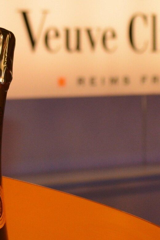 From Reims: Day Trip to Veuve Clicquot Family Grower & Lunch - Review Highlights and Guide Expertise