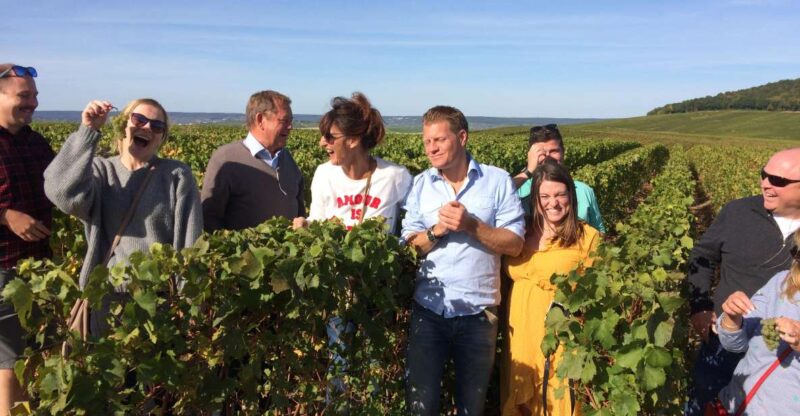 From Reims/Epernay: Champagne half-day tour (small group) - Practicalities: Logistics, Pacing, and Accessibility