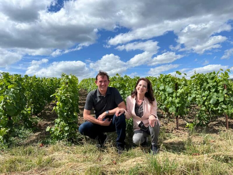 From Reims/Epernay: Private Gold Champagne Tasting Tour - Luxurious Transportation and Personalized Service