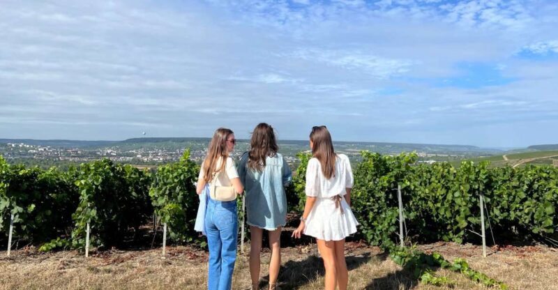 From Reims/Epernay: The Connoisseurs Private Tour 9 tastings - Key Points