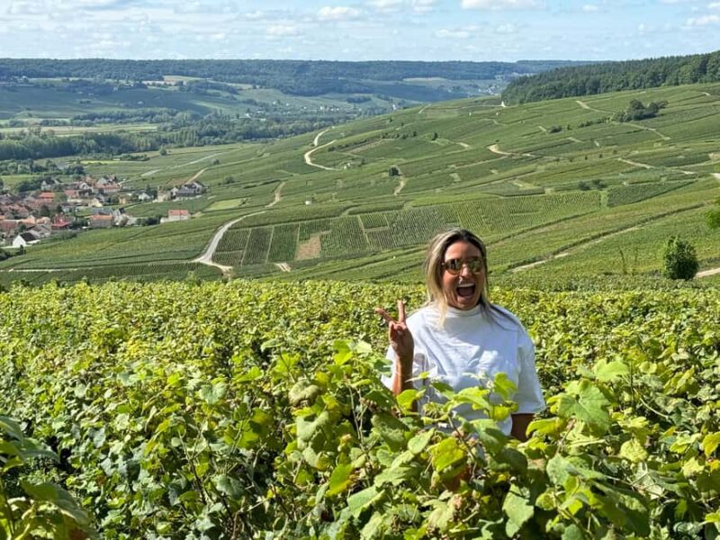 From Reims/Epernay:The Connoisseurs Private Tour 9 tastings - Tasting a Range of Champagnes and Spirit Aperitifs