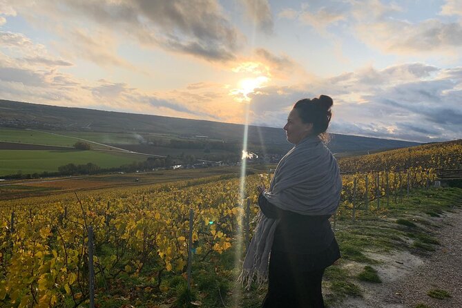 From Reims morning Champagne family growers - Experience the Sights of Frances Champagne Region