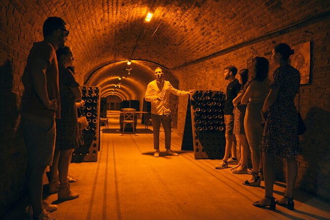 From Reims morning Champagne family growers - Practical Details: Logistics, Pacing, and Accessibility