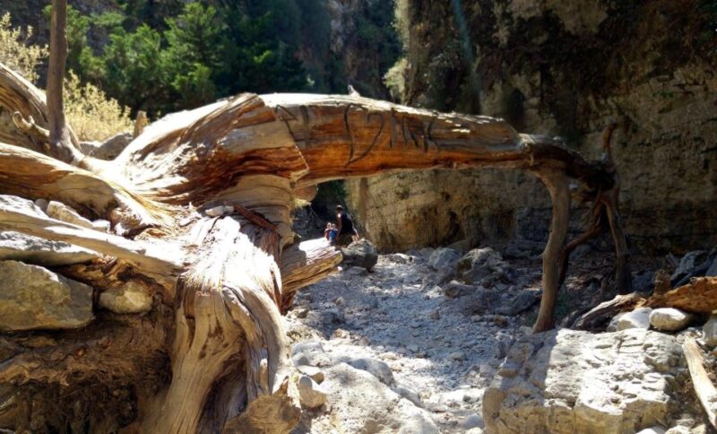 From Rethymno/Chania: Imbros Gorge Hike - Quality of Guides and Service